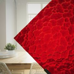 Viooltje Grof Rood ( ±30x30cm)