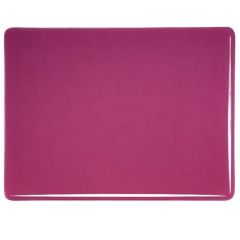 Fuchsia transparent
