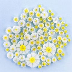 Millefiori COE90 Mixed Size Daisies verpakt per 25 Gram