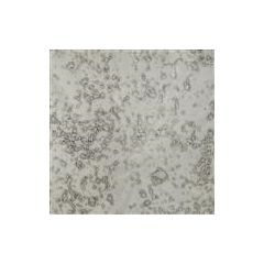 Spiegel antiek 3mm Grigio Argento ( ±30x30cm)