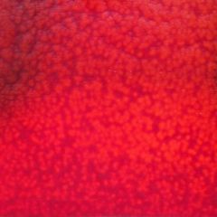 18m Mystic Red