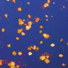 Antiek spiegel 3 mm olvere di stelle blue 125x245 cm