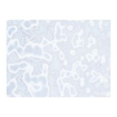 Bullseye Ring Mottles White NON FUSIBLE!
