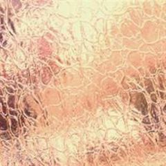 110-1cr Light Amber solid transparent Crackled (non Fusible)