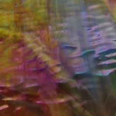 Mississippi opal red yellow turquoise ripple iridescent (±30x30cm)