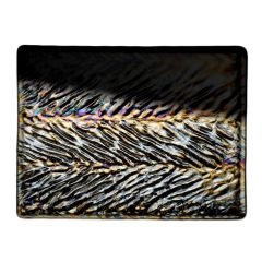 Black Herringbone Ripple iridiscent