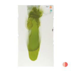 Warm White, Pine Green Cascade