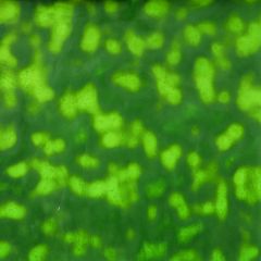 Youghiogheny opal green combinations 4444 HS