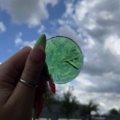 Jewel rond Coarse 45 Emerald green