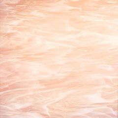 891-81 Pink Champagne, Wispy (COE 96)