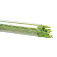 Stringer 1mm 0312 Peapod
