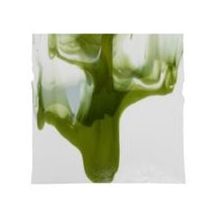 White/Medeival Green Infusion