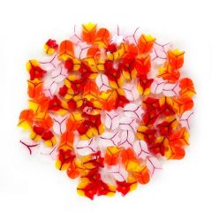 Millefiori COE90 Flowers Tulip Mix verpakt per 25 Gram