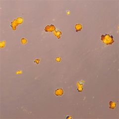 Spiegel antiek 3mm Polvere di stelle ( ±30x30cm)