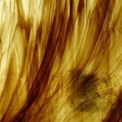 Wissmach Colorescent Light Amber/Dark Brown 223 LL