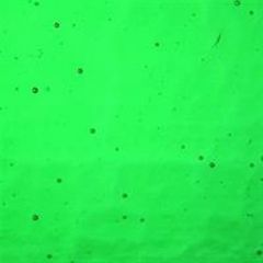 ProVetro Kathedraal 1502 groen 3mm 80x120cm
