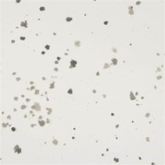 Spiegel antiek 3mm Meteora ( ±30x30cm)