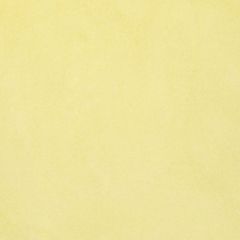 Oceanside frit 161 powder transparent yellow 240g