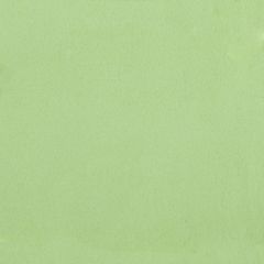 Oceanside frit 755 powder opaque fern green 240g